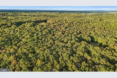 0 Old Plank Road, Locust Grove, VA 22508 - Photo 27