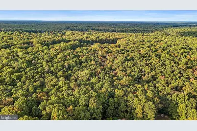 0 Old Plank Road, Locust Grove, VA 22508 - Photo 3