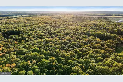 0 Old Plank Road, Locust Grove, VA 22508 - Photo 17