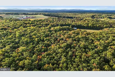 0 Old Plank Road, Locust Grove, VA 22508 - Photo 21