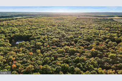 0 Old Plank Road, Locust Grove, VA 22508 - Photo 19