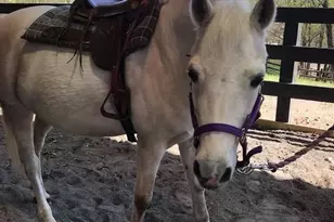 221 Washington St, Locust Grove, VA 22508 - Photo 47