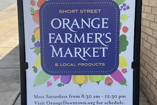 269 Montevista Ave, Orange, VA 22960 - Photo 77