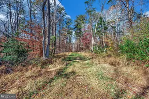 5120 Burr Hill Rd, Rhoadesville, VA 22542 - Photo 41