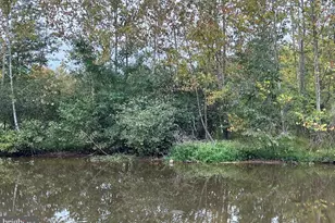 26700 Daniels Point Dr, Unionville, VA 22567 - Photo 49