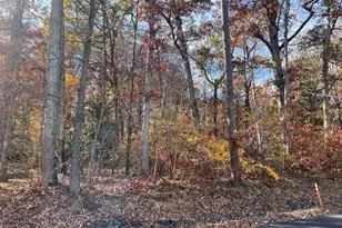 616 Mt Pleasant Dr, Locust Grove, VA 22508 - Photo 1