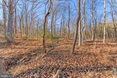 19168 Lovers Lane, Gordonsville, VA 22942 - Photo 55