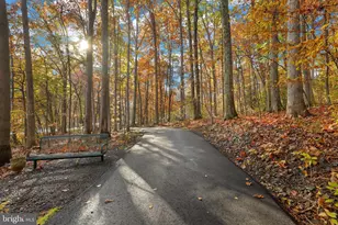 207 Spotswood Rd, Locust Grove, VA 22508 - Photo 41