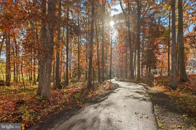 207 Spotswood Road, Locust Grove, VA 22508 - Photo 45