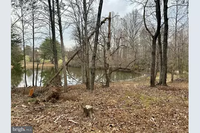 0 McAlexander Road, Orange, VA 22960 - Photo 13