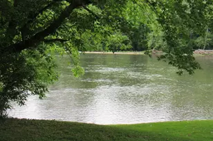 831 Good Mill Rd, Rileyville, VA 22650 - Photo 37