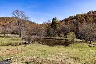 370 Bruins Run, Elkton, VA 22827 - Photo 73