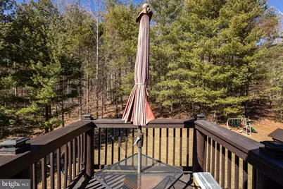 370 Bruins Run, Elkton, VA 22827 - Photo 59