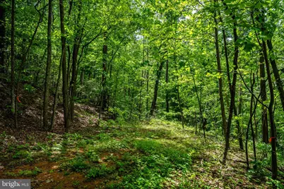 0 Helms Rd, Stanley, VA 22851 - Photo 3