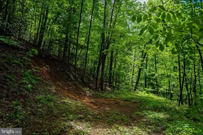 0 Helms Rd, Stanley, VA 22851 - Photo 5