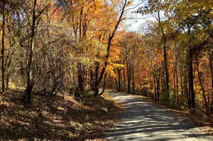 Lot D45-49, Stanley, VA 22851 - Photo 1