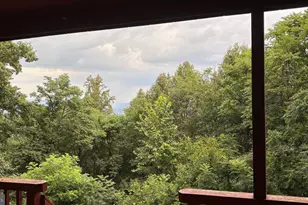 287 Blackthorne Rd, Luray, VA 22835 - Photo 35