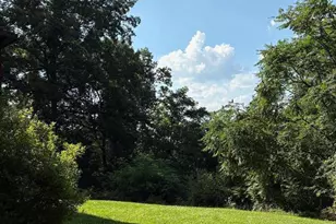 287 Blackthorne Rd, Luray, VA 22835 - Photo 23