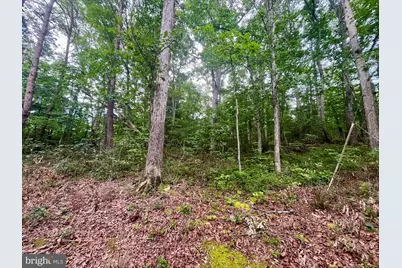 Oak Lane, Luray, VA 22835 - Photo 3