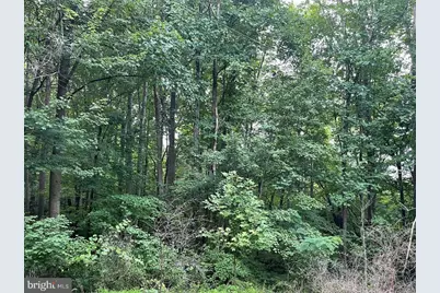 Harmony Lane, Stanley, VA 22851 - Photo 5