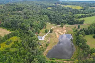 385 S McDaniel Ln, Shenandoah, VA 22849 - Photo 63