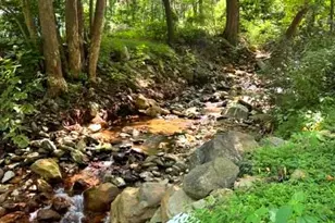 145 Weakley Ln, Stanley, VA 22851 - Photo 27