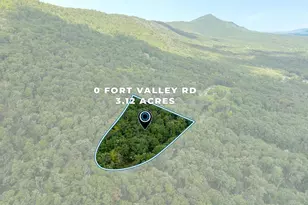 0 Fort Valley, Luray, VA 22835 - Photo 1