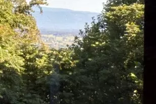 287 N Blackthorne Rd, Stanley, VA 22851 - Photo 93