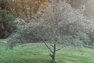 287 N Blackthorne Rd, Stanley, VA 22851 - Photo 79