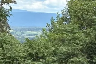 287 N Blackthorne Rd, Stanley, VA 22851 - Photo 61