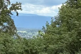 287 N Blackthorne Rd, Stanley, VA 22851 - Photo 83