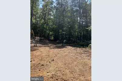 Tbd Dry Creek Road, Luray, VA 22835 - Photo 3