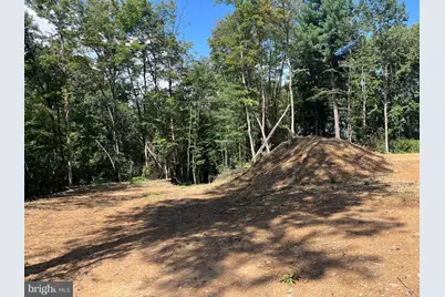 Tbd Dry Creek Road, Luray, VA 22835 - Photo 5