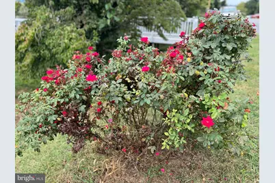 411 Shenandoah Avenue, Shenandoah, VA 22849 - Photo 7