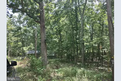 Blevins Road E, Luray, VA 22835 - Photo 7