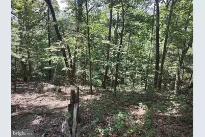 Blevins Road E, Luray, VA 22835 - Photo 5