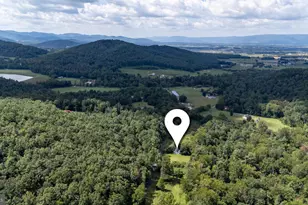 2903 Dry Run Rd, Luray, VA 22835 - Photo 57