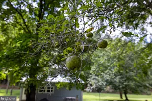 2903 Dry Run Rd, Luray, VA 22835 - Photo 43