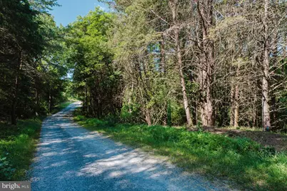 Tbd Riverview Road, Luray, VA 22835 - Photo 13