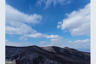 Cubbage Hollow Rd, Lot 75 - 40.55 Acres, Stanley, VA 22851 - Photo 7