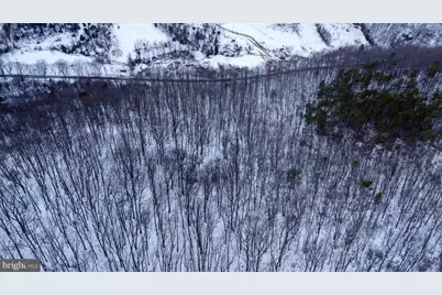 Cubbage Hollow Rd, Lot 75 - 40.55 Acres, Stanley, VA 22851 - Photo 17