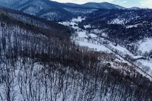Cubbage Hollow Rd Lot 75 - 40 55 Acres, Stanley, VA 22851 - Photo 1
