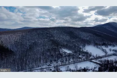 Cubbage Hollow Rd, Lot 75 - 40.55 Acres, Stanley, VA 22851 - Photo 21