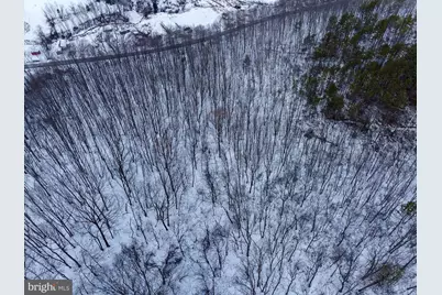Cubbage Hollow Rd, Lot 75 - 40.55 Acres, Stanley, VA 22851 - Photo 9