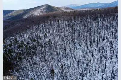 Cubbage Hollow Rd, Lot 75 - 40.55 Acres, Stanley, VA 22851 - Photo 11