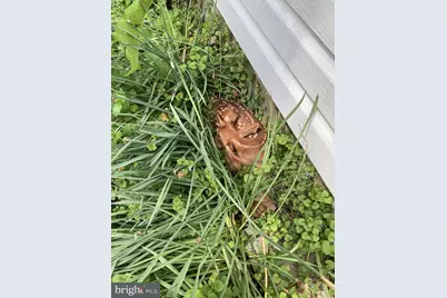 1485 Compton Hollow Road, Rileyville, VA 22650 - Photo 5