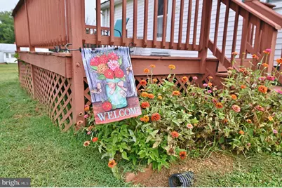 5672 Mill Creek Road, Luray, VA 22835 - Photo 31