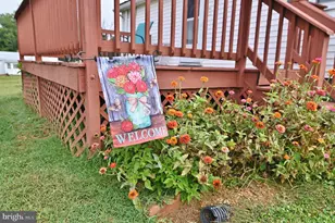 5672 Mill Creek Rd, Luray, VA 22835 - Photo 31