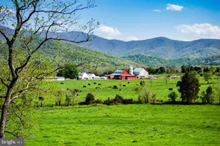 164 Rae Ct, Luray, VA 22835 - Photo 29