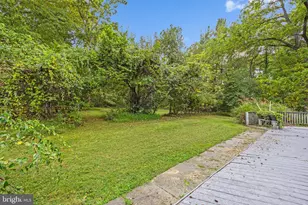 361 Printz Mill Rd, Luray, VA 22835 - Photo 55